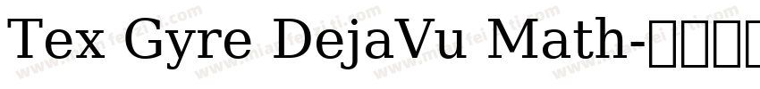 Tex Gyre DejaVu Math字体转换